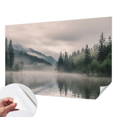 Peel and stick wall mural with an atmospheric lake scene