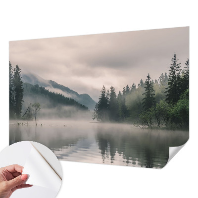 Peel and stick wall mural with an atmospheric lake scene