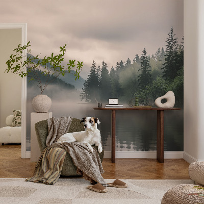 Peel and stick wall mural Atmospheric lake