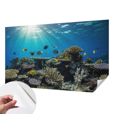 Stick-on wall mural featuring an underwater world design