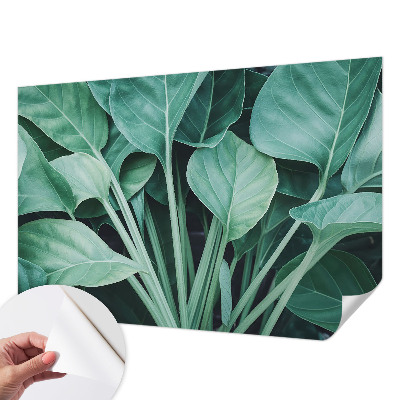 Peel and stick wall mural for living room with a green nature design
