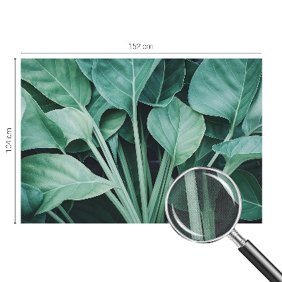 Peel and stick wall mural for living room Green nature