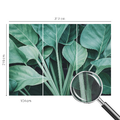 Peel and stick wall mural for living room with a green nature design