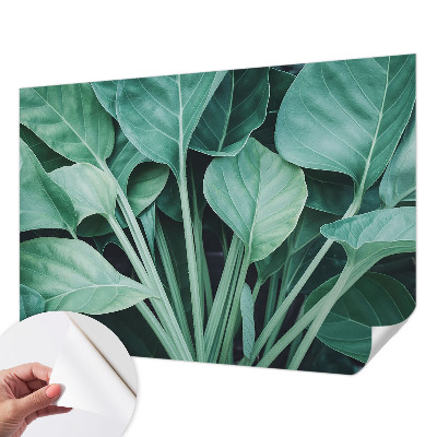 Peel and stick wall mural for living room with a green nature design