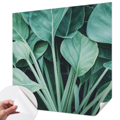 Peel and stick wall mural for living room Green nature