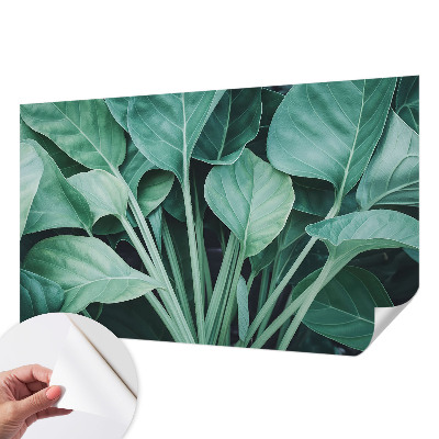Peel and stick wall mural for living room with a green nature design