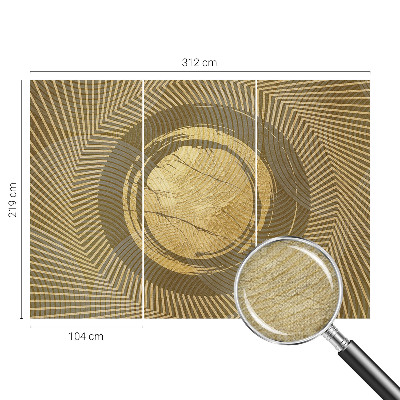 Peel and stick wallpaper mural Radiating lines