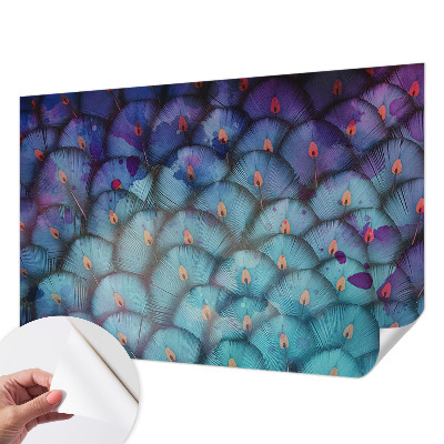 Peel and stick wall mural for kids' room Colorful feathers