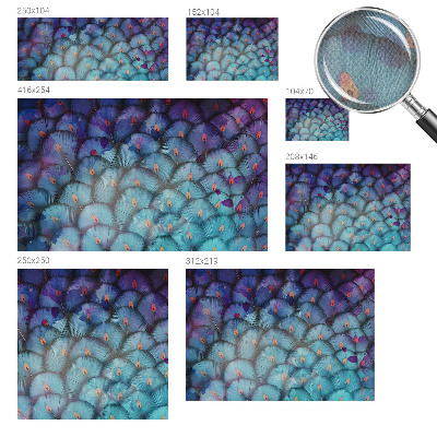 Peel and stick wall mural for kids' room Colorful feathers