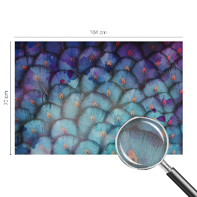 Peel and stick wall mural for kids' room Colorful feathers