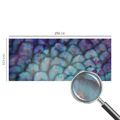 Peel and stick wall mural for kids' room Colorful feathers