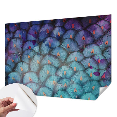 Peel and stick wall mural for kids' room with a colorful feather pattern