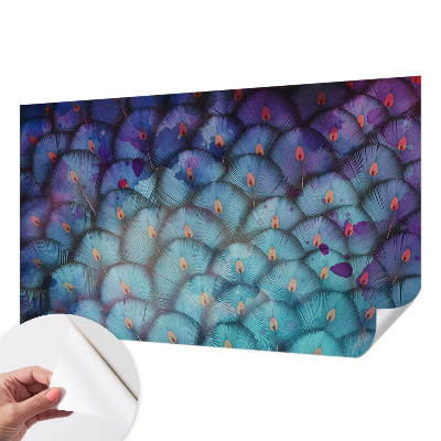 Peel and stick wall mural for kids' room Colorful feathers