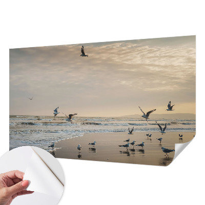 Baby room wall mural with a seaside tranquility motif
