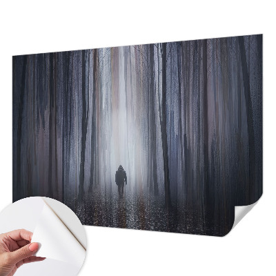 Stick-on wall mural Forest silence