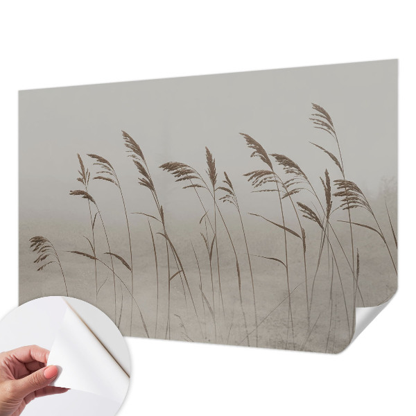 3D wall mural with a grassy fog landscape