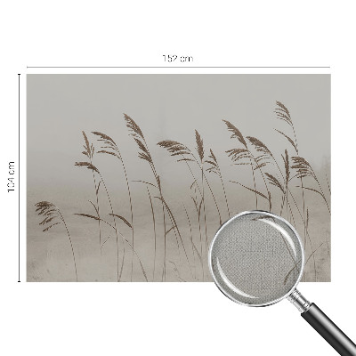 3D wall mural Grasses in the fog