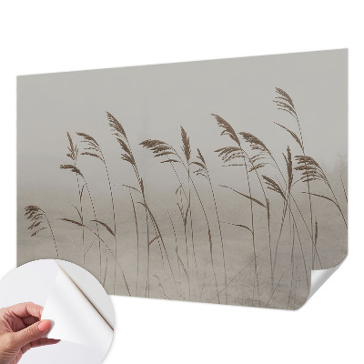 3D wall mural with a grassy fog landscape