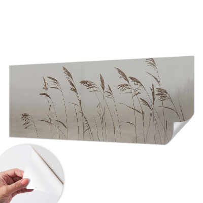 3D wall mural with a grassy fog landscape