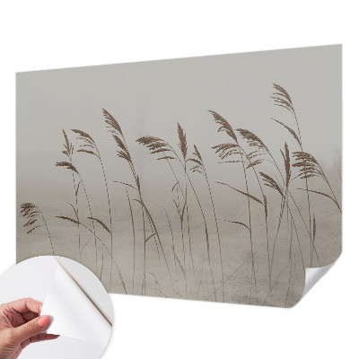 3D wall mural with a grassy fog landscape
