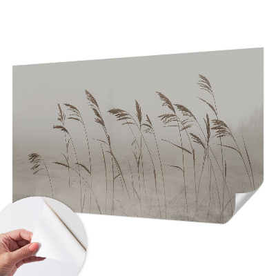 3D wall mural Grasses in the fog