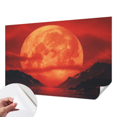 Removable wall mural Nighttime phenomenon