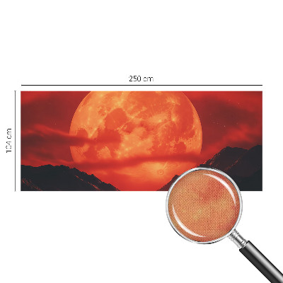 Removable wall mural depicting a nighttime phenomenon