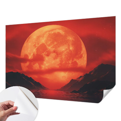 Removable wall mural depicting a nighttime phenomenon