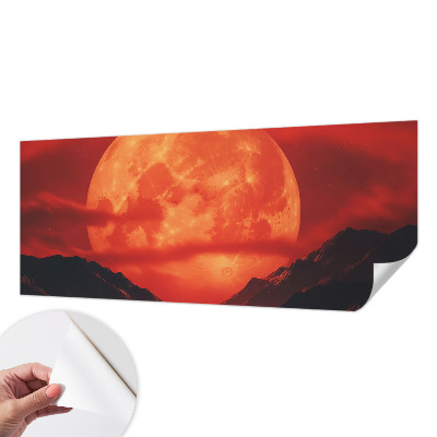 Removable wall mural depicting a nighttime phenomenon