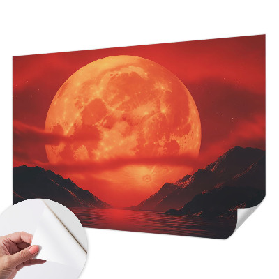 Removable wall mural depicting a nighttime phenomenon