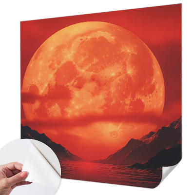 Removable wall mural Nighttime phenomenon