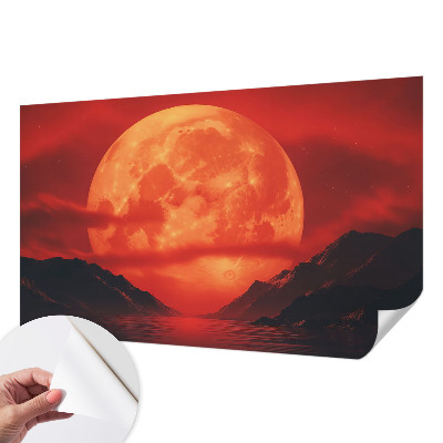Removable wall mural depicting a nighttime phenomenon