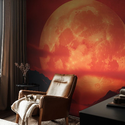 Removable wall mural depicting a nighttime phenomenon