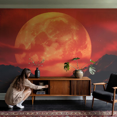 Removable wall mural Nighttime phenomenon