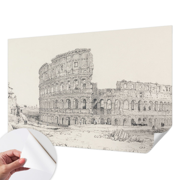 Peel and stick wallpaper mural featuring an ancient ruins design