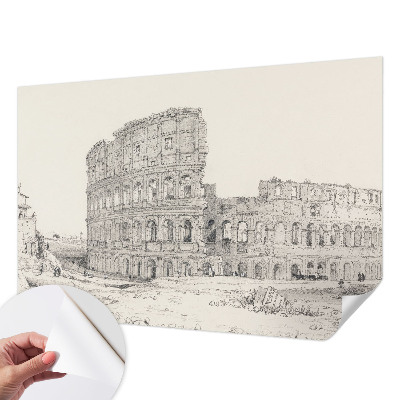 Peel and stick wallpaper mural featuring an ancient ruins design