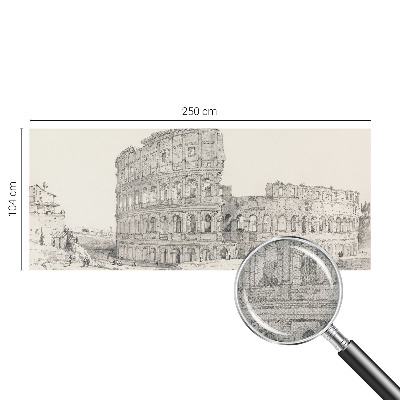 Peel and stick wallpaper mural featuring an ancient ruins design