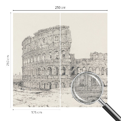 Peel and stick wallpaper mural featuring an ancient ruins design