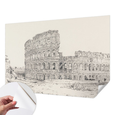 Peel and stick wallpaper mural featuring an ancient ruins design