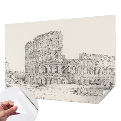 Peel and stick wallpaper mural featuring an ancient ruins design