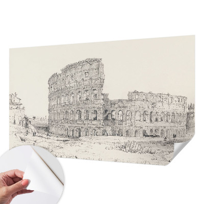 Peel and stick wallpaper mural featuring an ancient ruins design