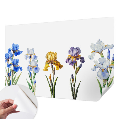 Removable wall mural Iris flowers