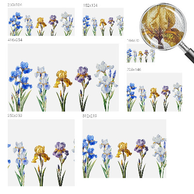 Removable wall mural with iris flower design