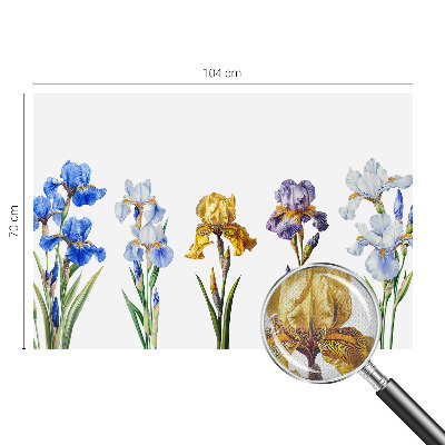 Removable wall mural Iris flowers