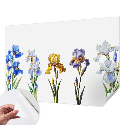 Removable wall mural Iris flowers