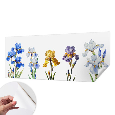 Removable wall mural with iris flower design