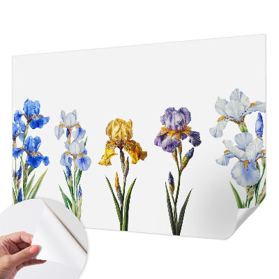 Removable wall mural Iris flowers