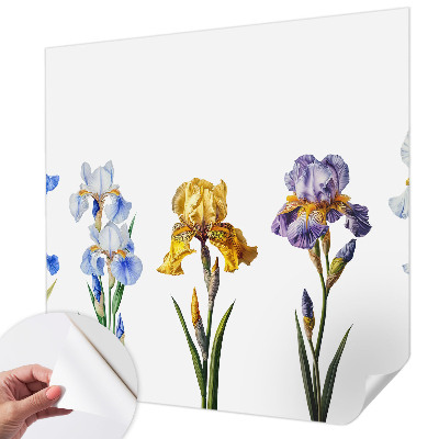 Removable wall mural with iris flower design