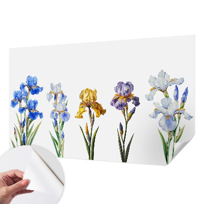 Removable wall mural Iris flowers