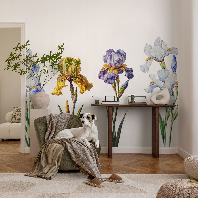 Removable wall mural Iris flowers